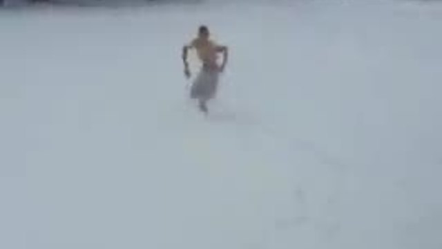 Щурак плува в снега !