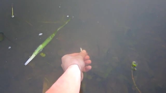 Улов на голяма риба за 8 секунди