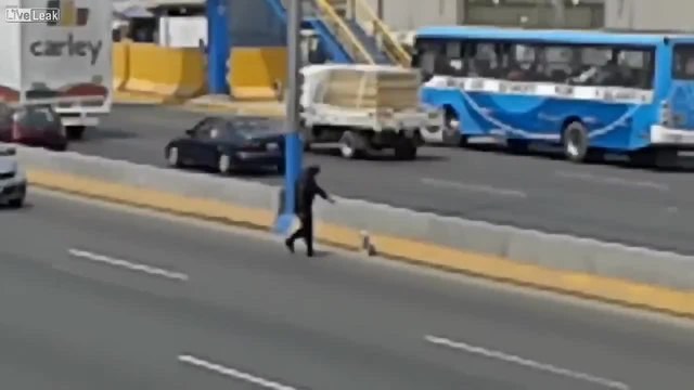 Полицай спира движението, за да спаси изплашено куче останало на магистралата