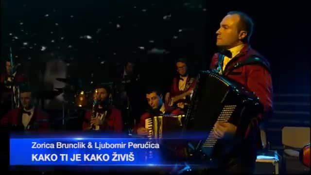 Zorica Brunclik i Ljubomir Perucica - Kako ti je kako zivis ( Arena 11.11.2014.)
