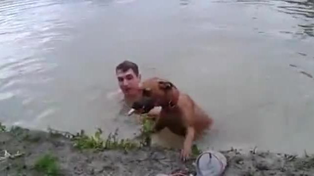 Вярното куче скача за да спаси стопанина си