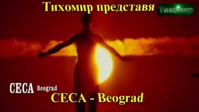 BG Превод Цеца - Белград CECA - Beograd.