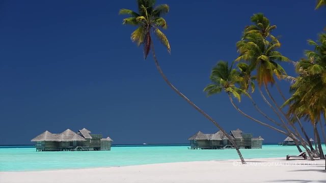 Малдивите 2015 - хотел Gili Lankanfushi