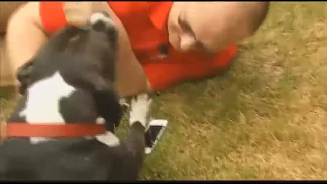 Куче набира 911 и спасява собственика си
