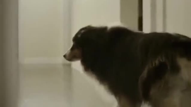 Куче в ролята на Купидон