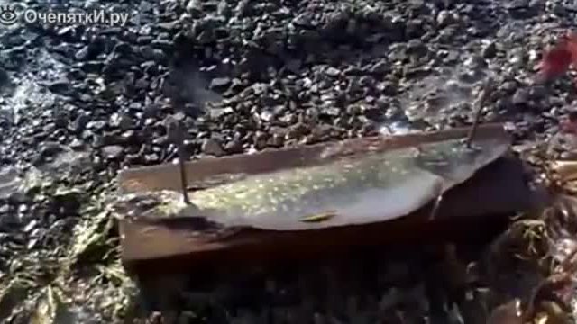 Изобретателен руснак прави най-щурото и бързо почистване на риба !