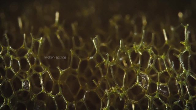 Различни предмети снимани под микроскоп - Невероятни светове вътре в нашия свят