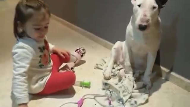 Малко момиченце преглежда кучето като доктор! (ВИДЕО)