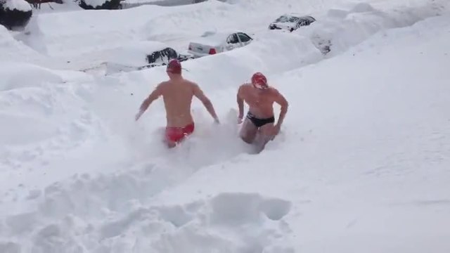 Щури американци показват как се 'плува ' в снега..