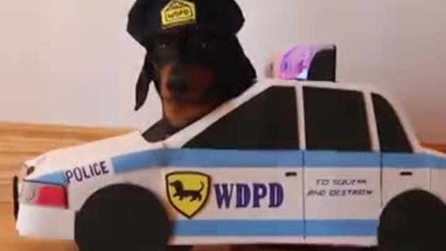 Кучета полицаи!