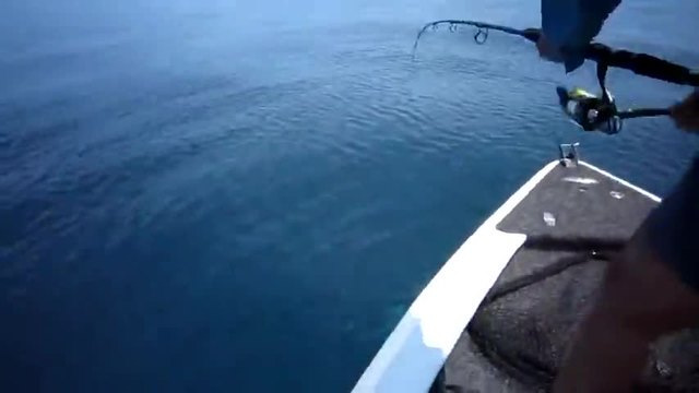 Акула атакува улова на рибар в открито море