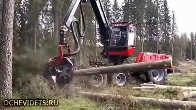 Перфектна машина мечта за всяка дърводобивната промишленост