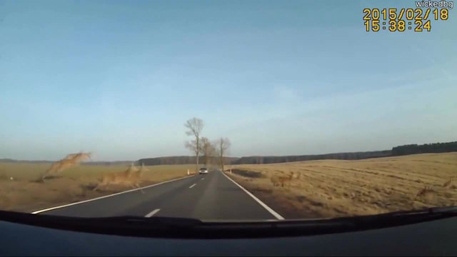 Камера заснема как дузина елени пресичат пътя