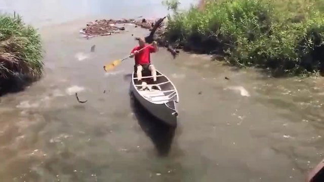 Риби атакуват рибар - скачат упорито и сами влизат в мрежата!!!