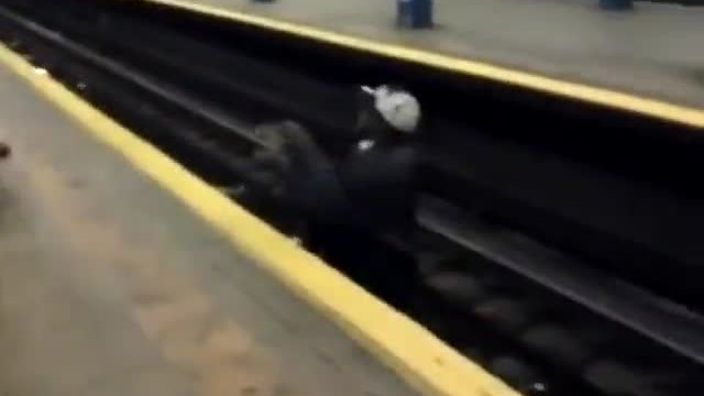 Мъж рискува живота си и спасява котка паднала при релсите на метростанция