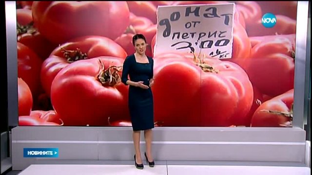 Български домати ще има на пазара след 1 април заради дъждовете
