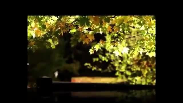 Стефан Митров- Нашата есен