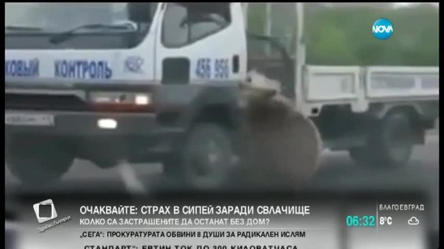Мече проси на магистрала в Русия