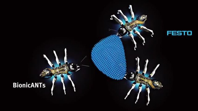 Невероятно!!!! Бионични мравки избират самостоятелни решения и работят в екип!