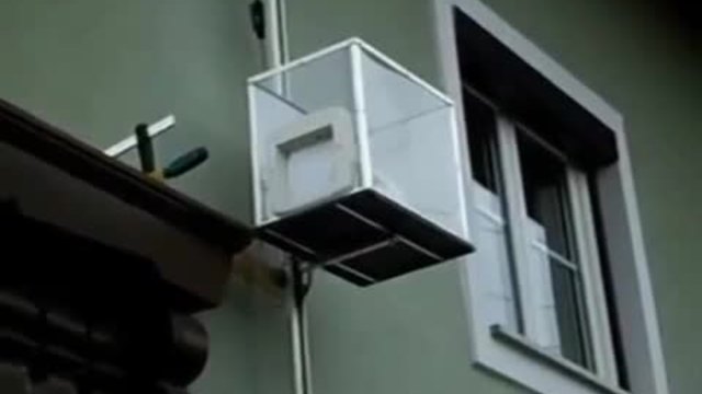 Домашна котка ползва собствен асансьор
