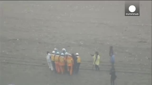 Над 100 делфина заседнаха край бреговете на Токио