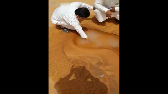 Какво намериха посред пустинята!!!..Жива Вода
