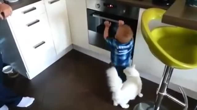 Котка не дава на бебе да си играе с горяща печка