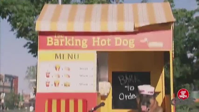 Куче продава хот-дог - Скрита камера!!! Смях