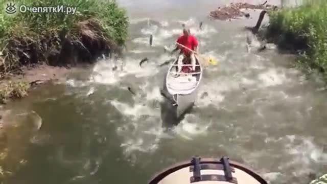 Този едвали очакваше толкова успешен риболов!