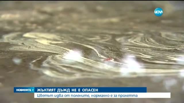 Жълтият дъжд над България не бил опасен (видео)