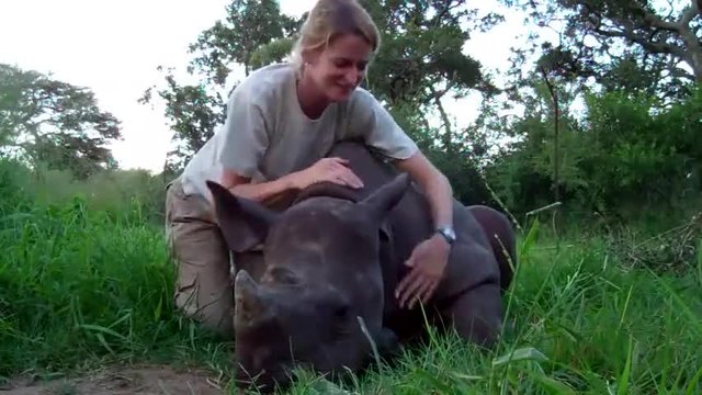 Хората и животните - Жена се радва на носорог