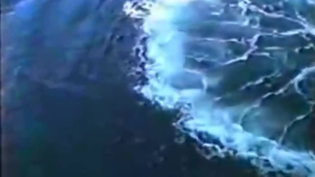 Туристи във възторг при вида от гигантски въздушни мехури изпускани от китове