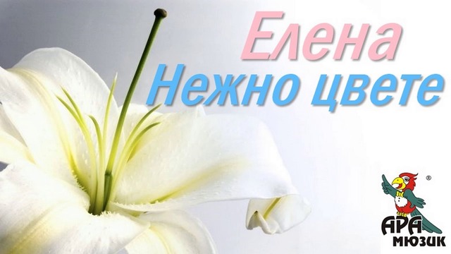 Елена - Нежно цвете 2000