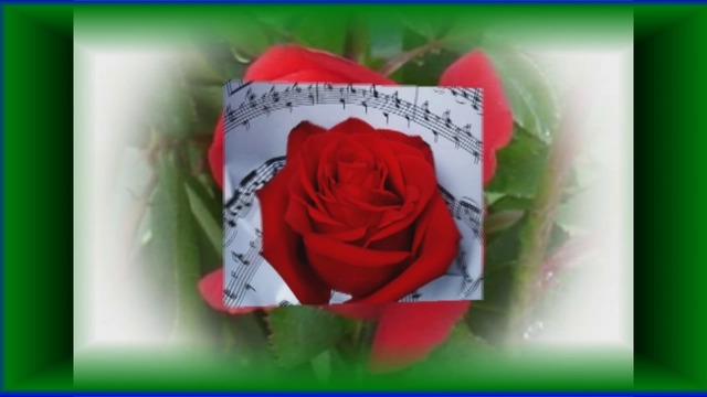 Giovanni Marradi-Tango ruža