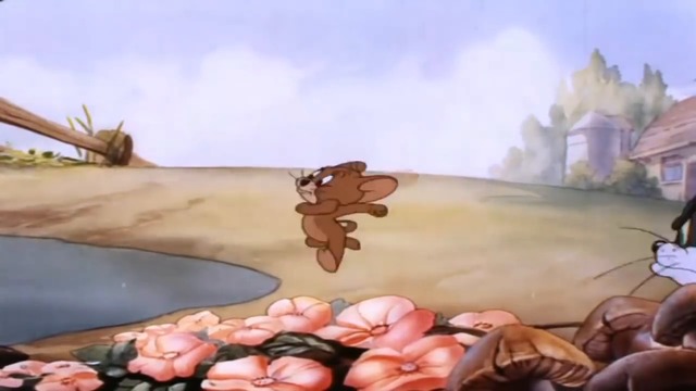 Tom and Jerry Episode 8 Fine Feathered Friend Part 3