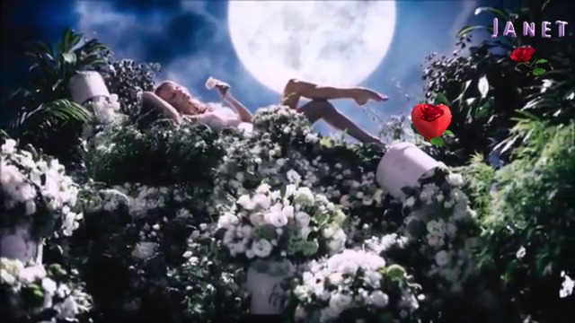 Million de roses ❣️ Dominique Moisan / Превод /