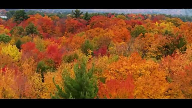 Giovanni Marradi - Autumn Wind