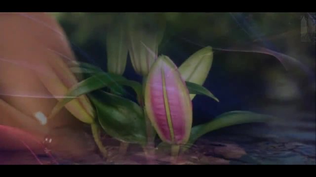 Heart Illumination - Frederic Delarue