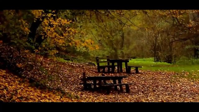 Daveed-Не тъжи