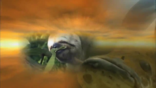 Beautiful World - Equator