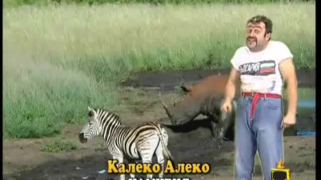 Калеко Алеко В Намибия