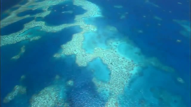 Beautiful Nature - Deep Sea