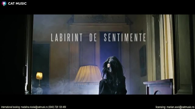 Narcotic Sound and Christian D - Labirint de sentimente (Official Video)