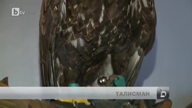 Лудогорец получи специален подарък от Лацио