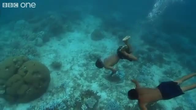 Изключителни деца от племето Мокен виждат ясно под водата