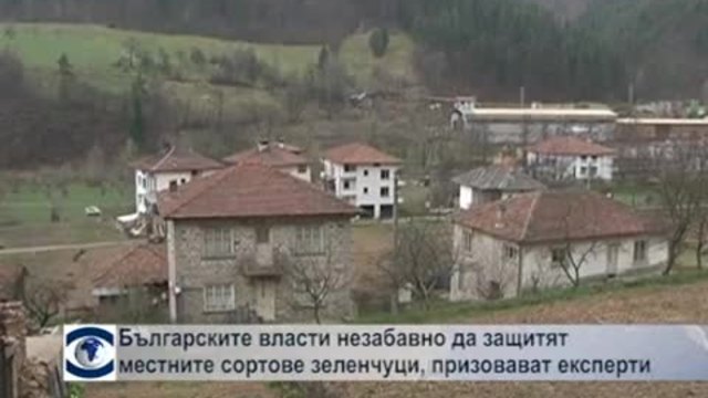 Българските власти незабавно да защитят местните сортове зеленчуци, призоваха експерти