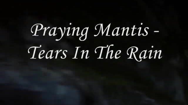Praying Mantis - Tears In The Rain