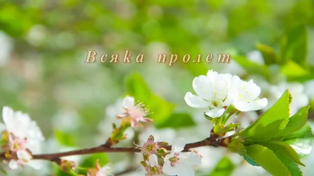 Всяка Пролет/ Rondo veneziano - Fantasia
