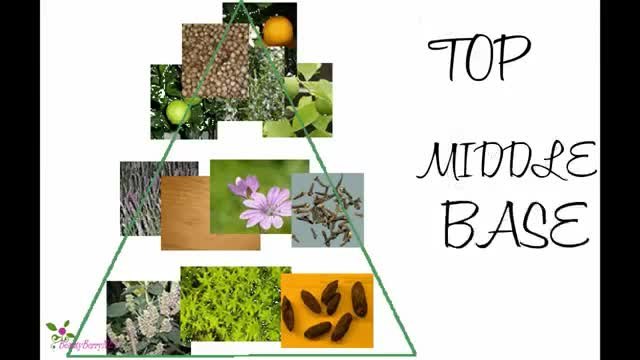 Как да открием подходящия парфюм