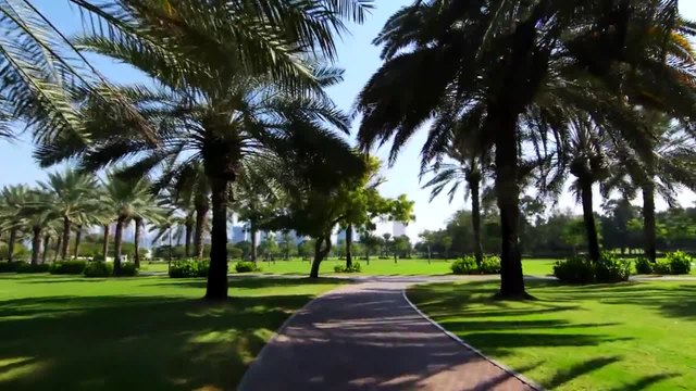 Dubai - City of Gold